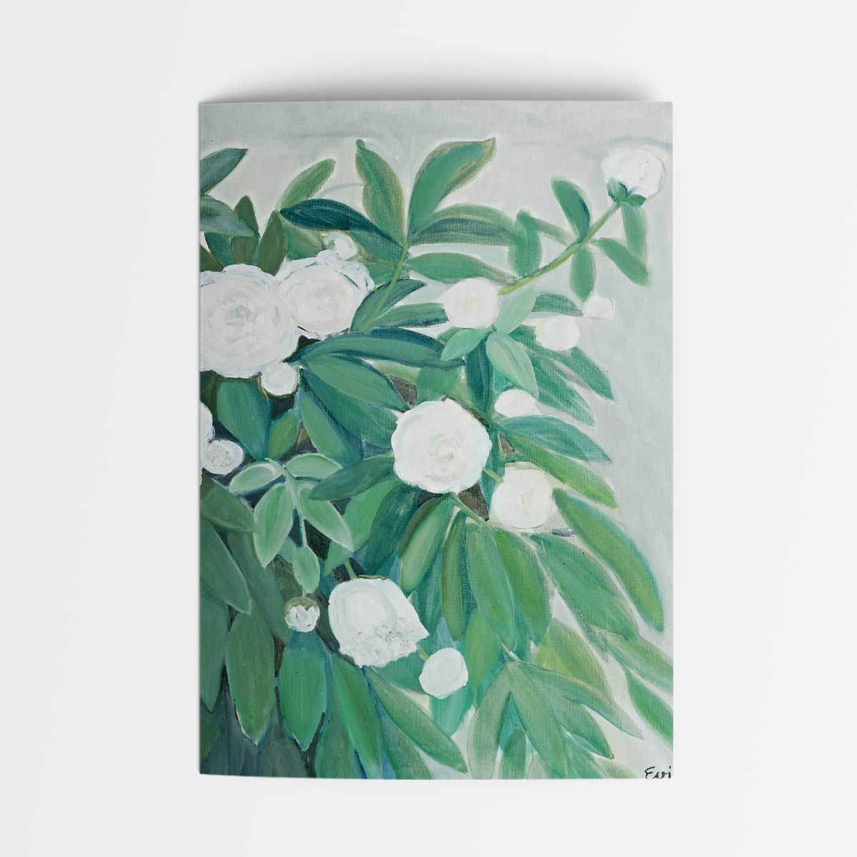 Pfingstrosen weiß - Falkenstein