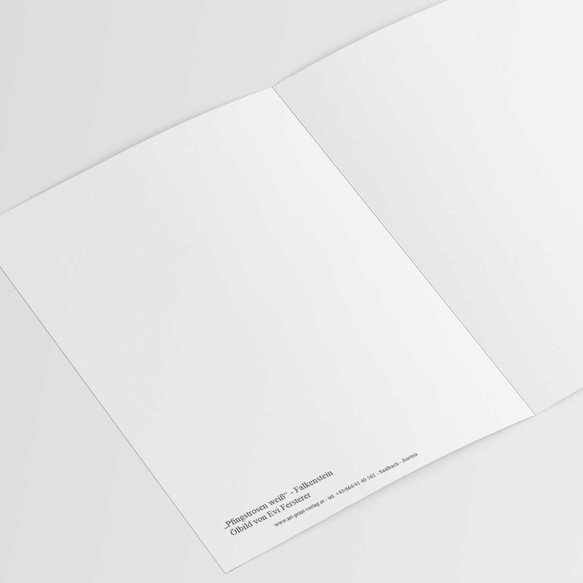 Pfingstrosen weiß - Falkenstein